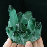 Green Quartz Cluster