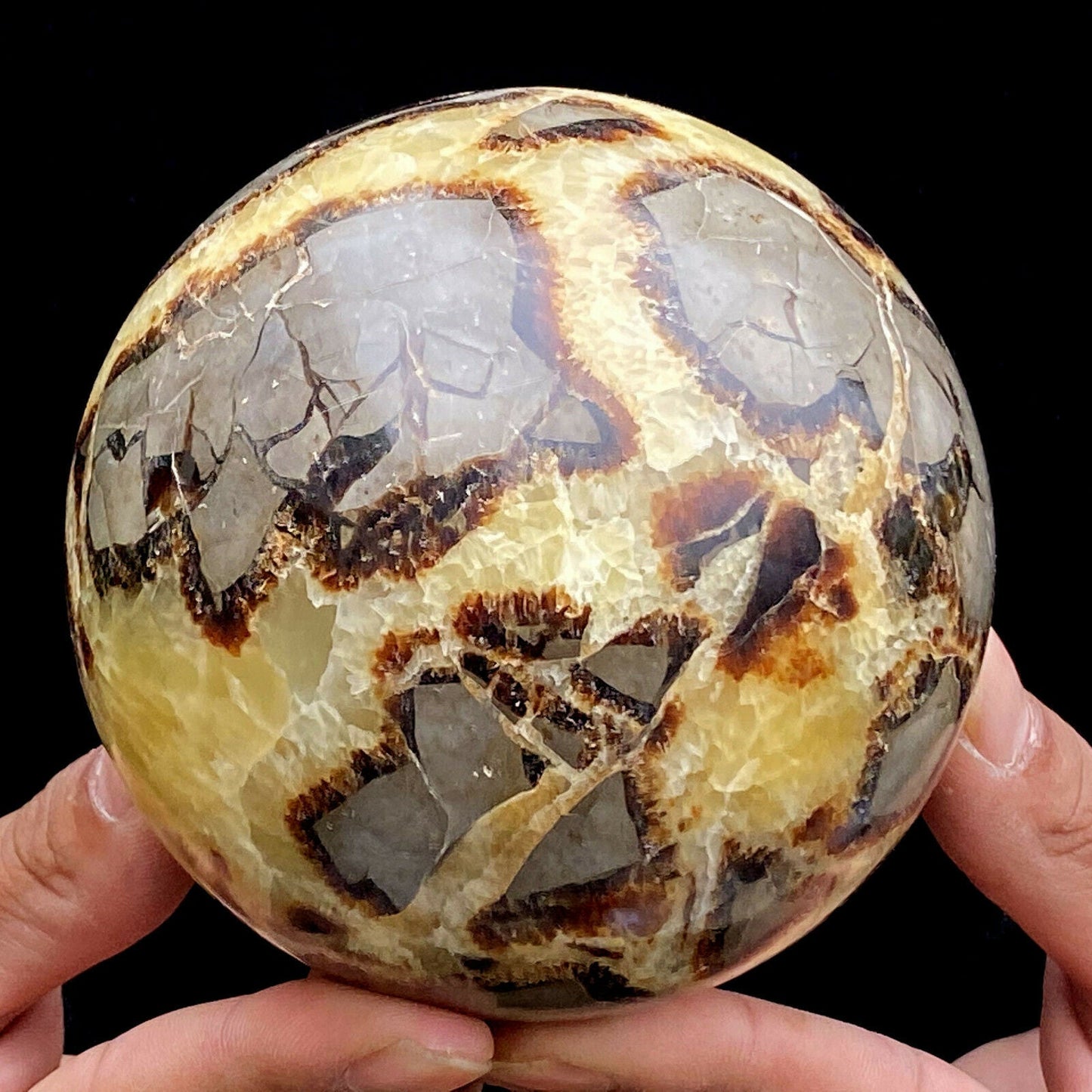 Natural Septarian Specimen Sphere