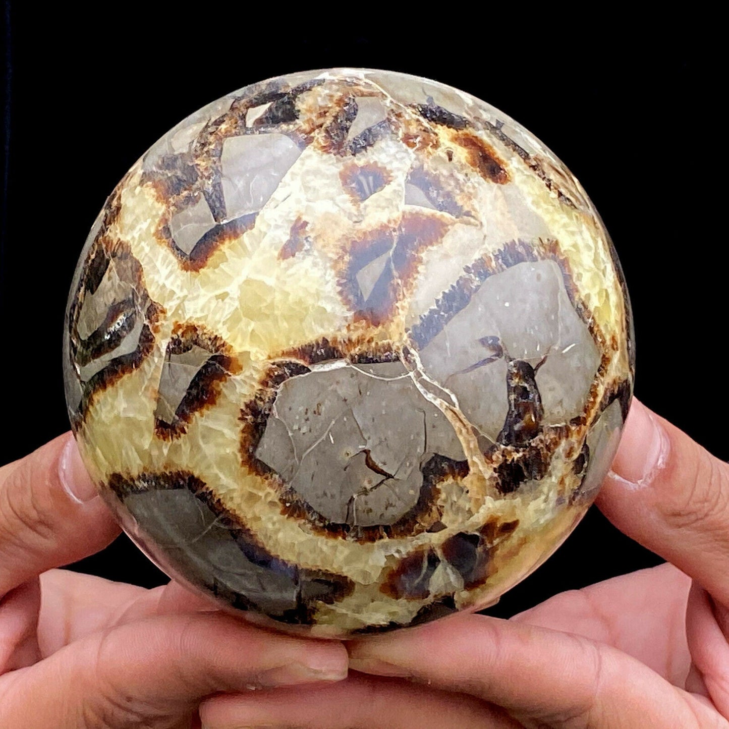 Natural Septarian Specimen Sphere