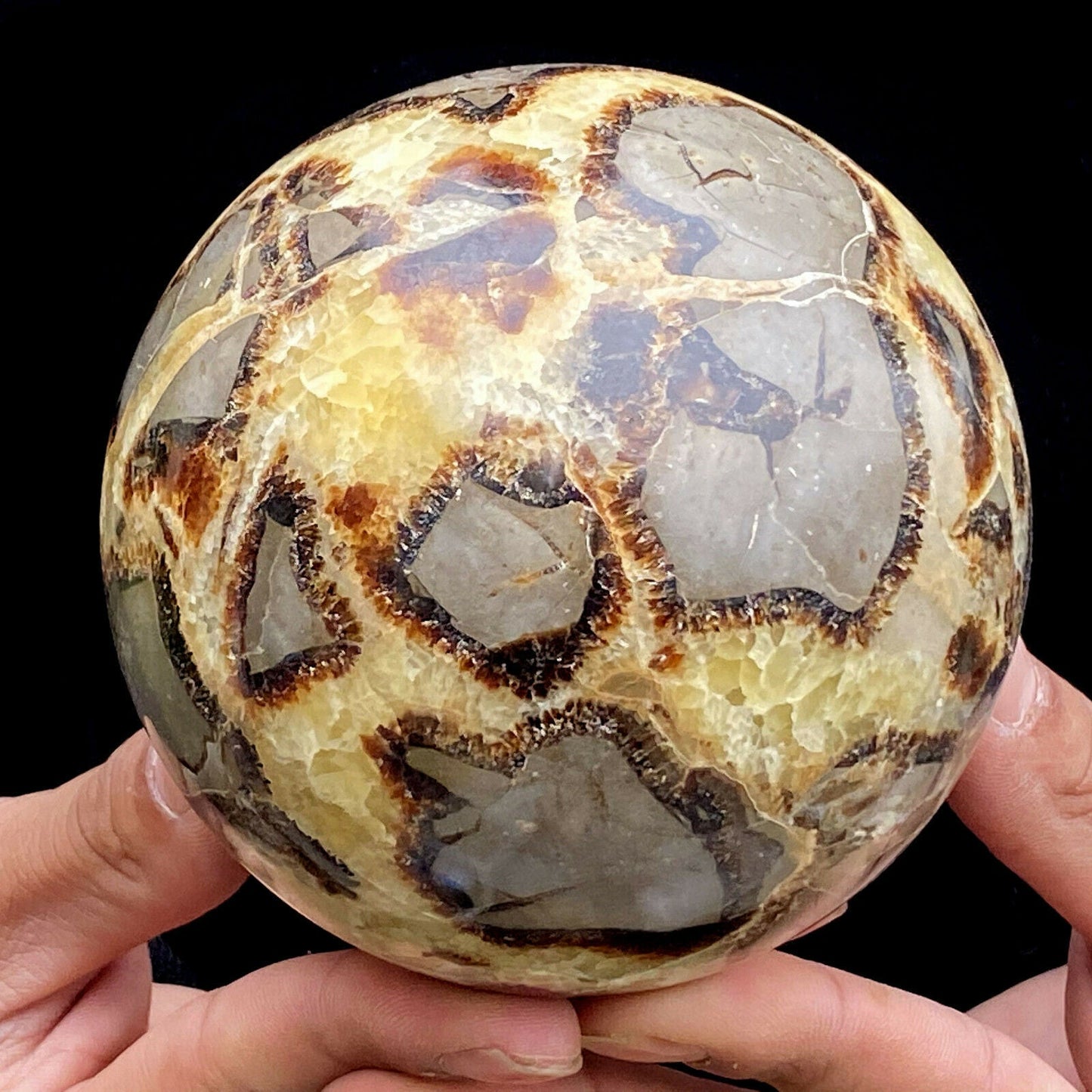 Natural Septarian Specimen Sphere